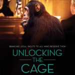 unlocking-the-cage